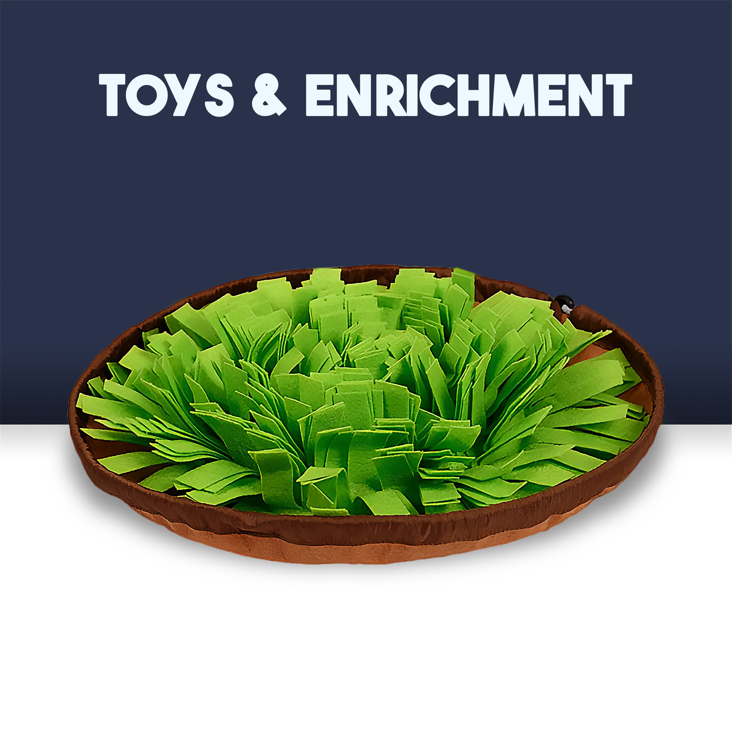 Toys & Enrichment