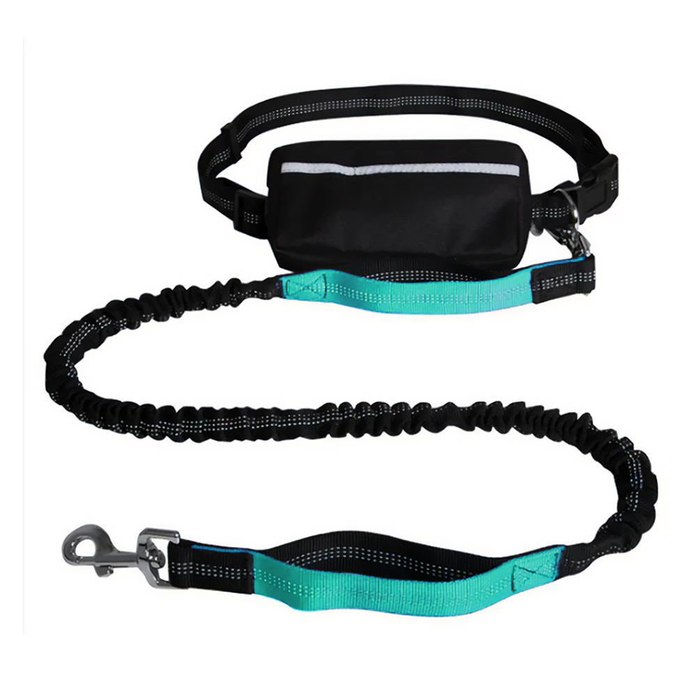 Reflecto Hands-Free Stretchy Lead