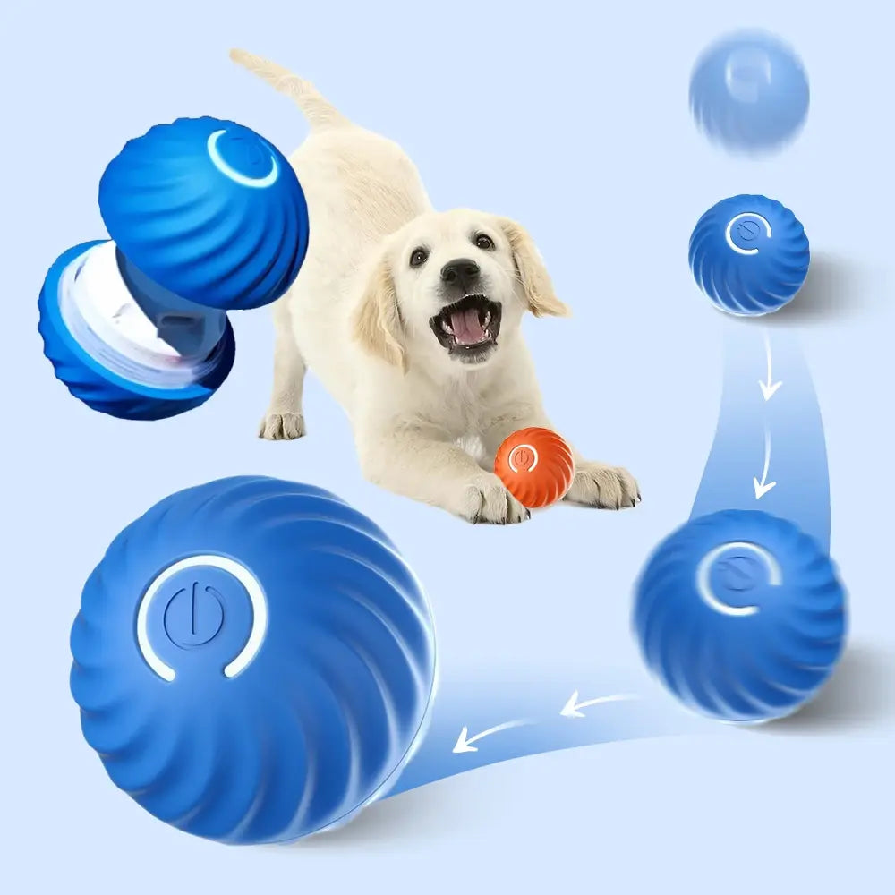 Interactive Moving Ball Dog Toy