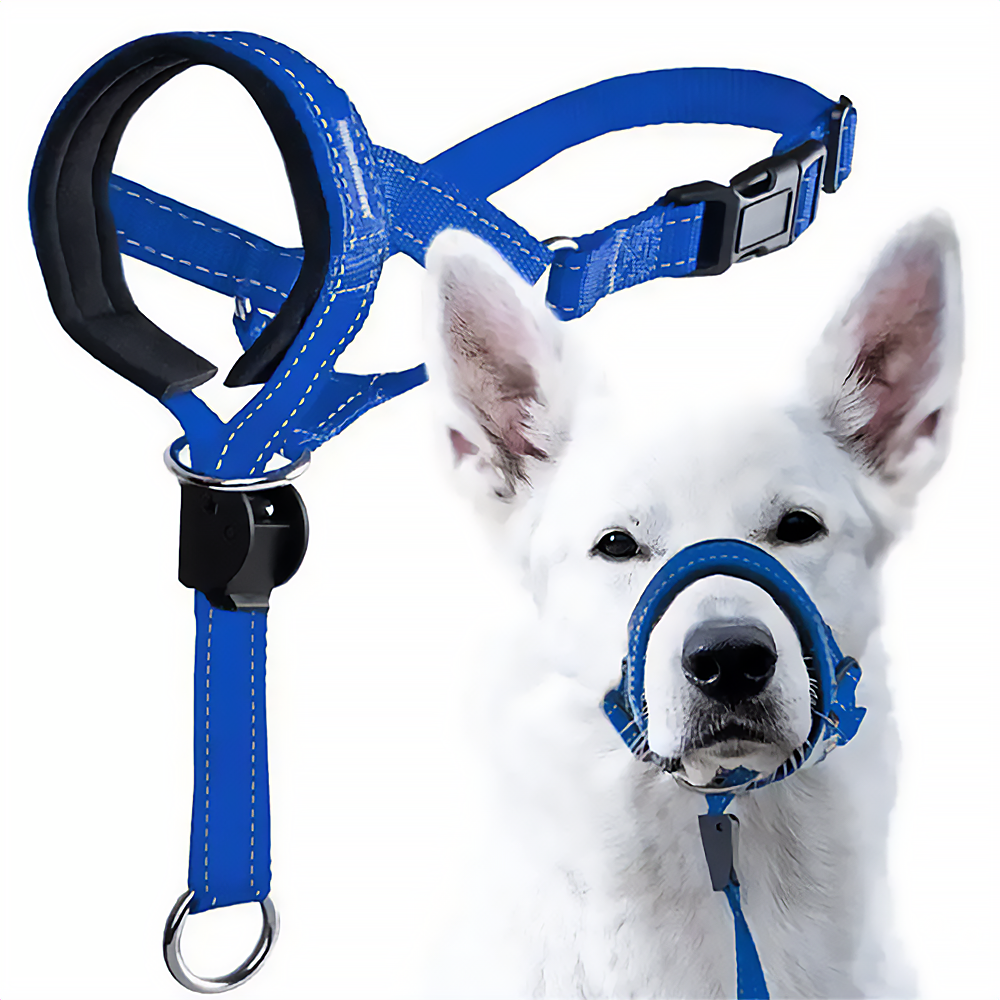 Dog Halter Training Head Collar