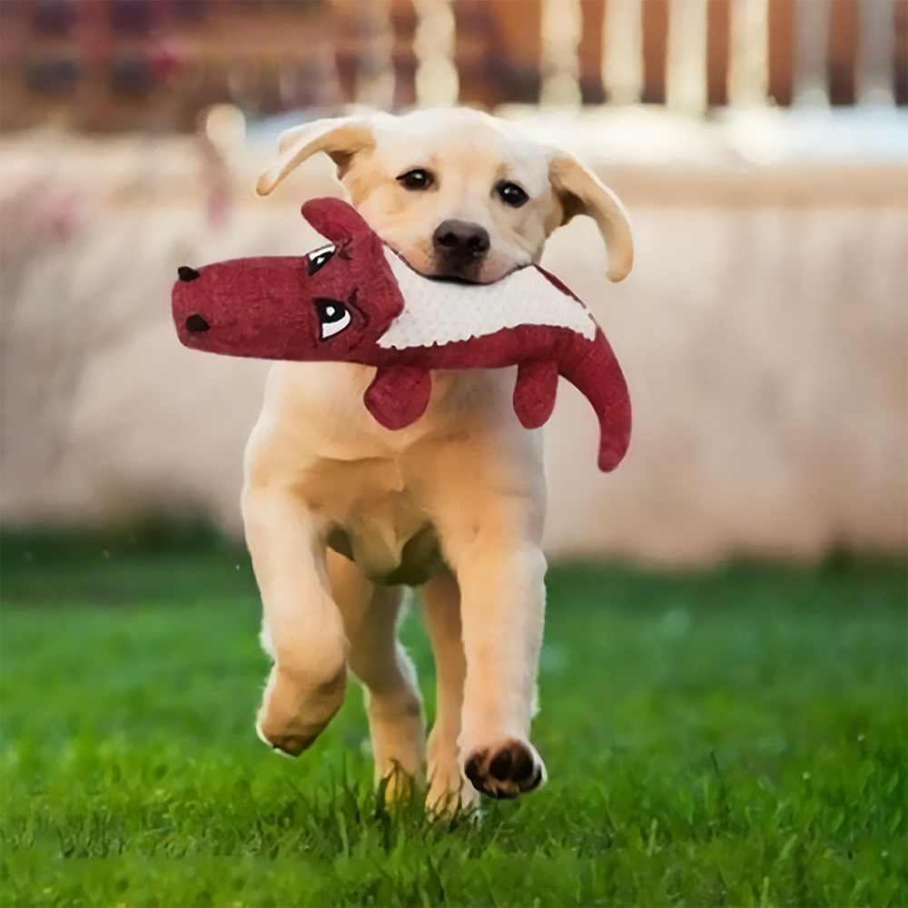 Crocodile Squeaky Dog Toy