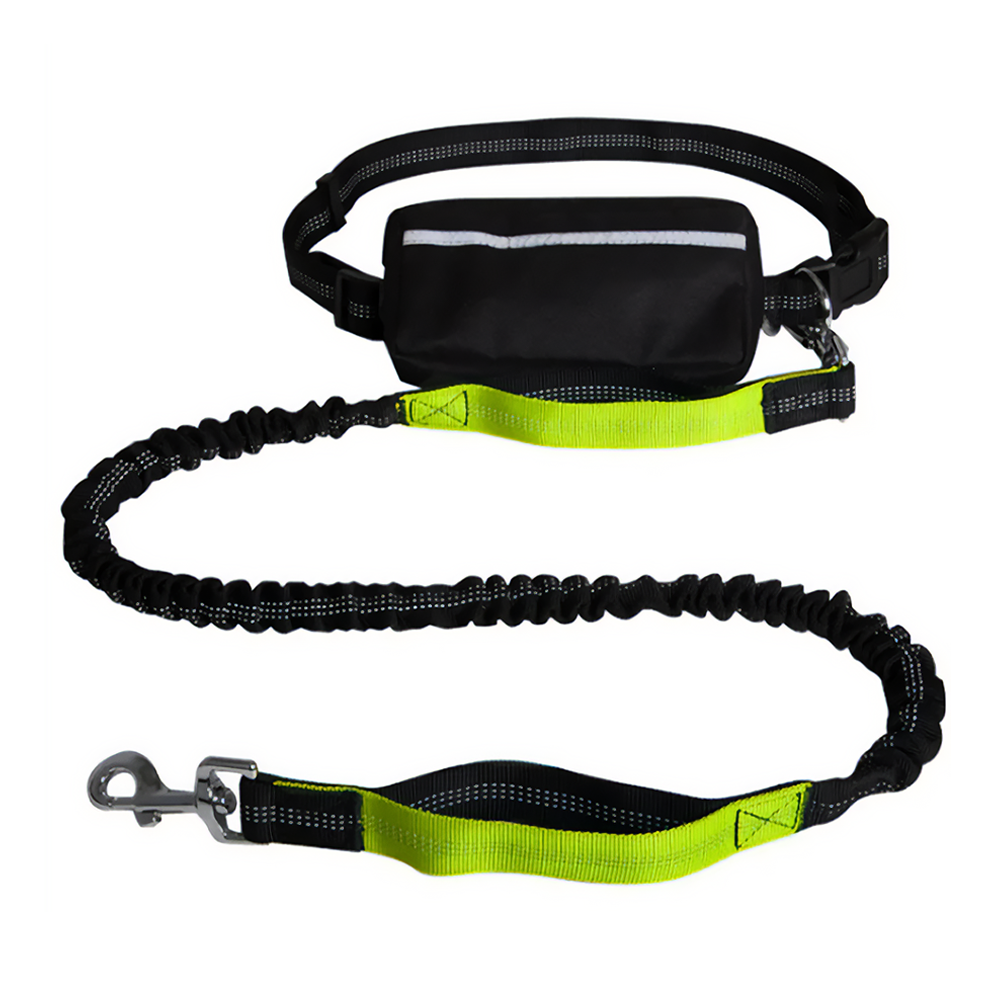 Reflecto Hands-Free Stretchy Lead