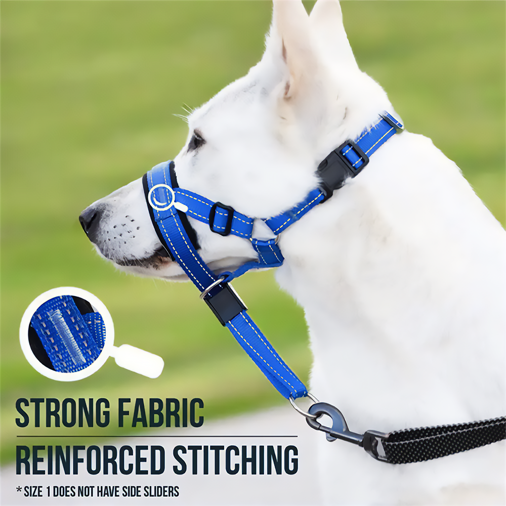 Dog Halter Training Head Collar