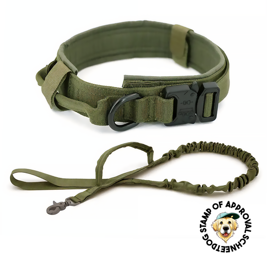 Tactical Dog Collar & Bungee Lead