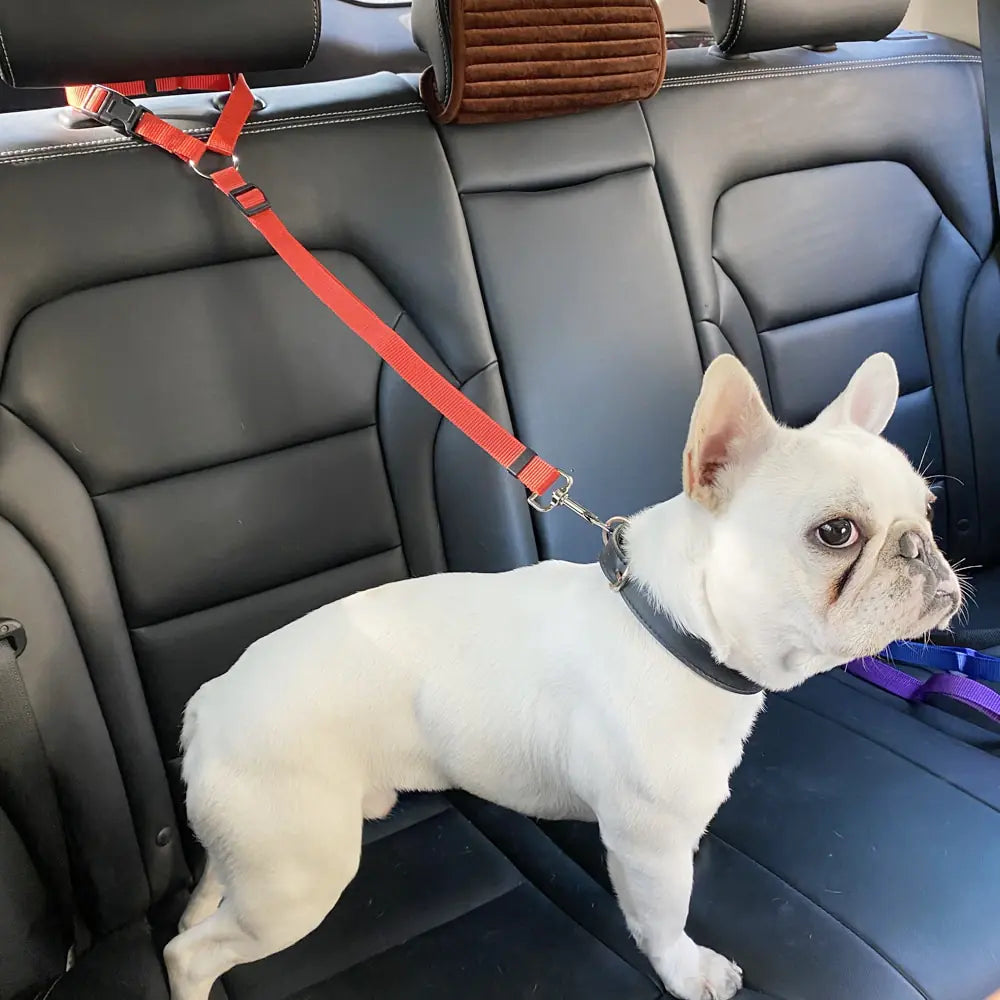 Dog Seatbelt - Headrest Loop