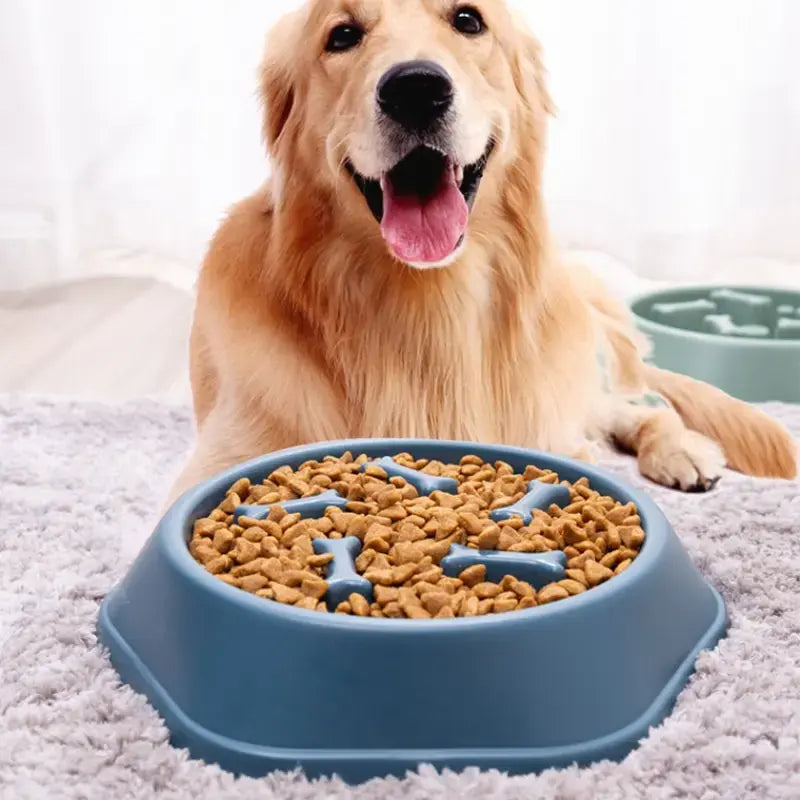 Large Slow Feeder Bone Bowl