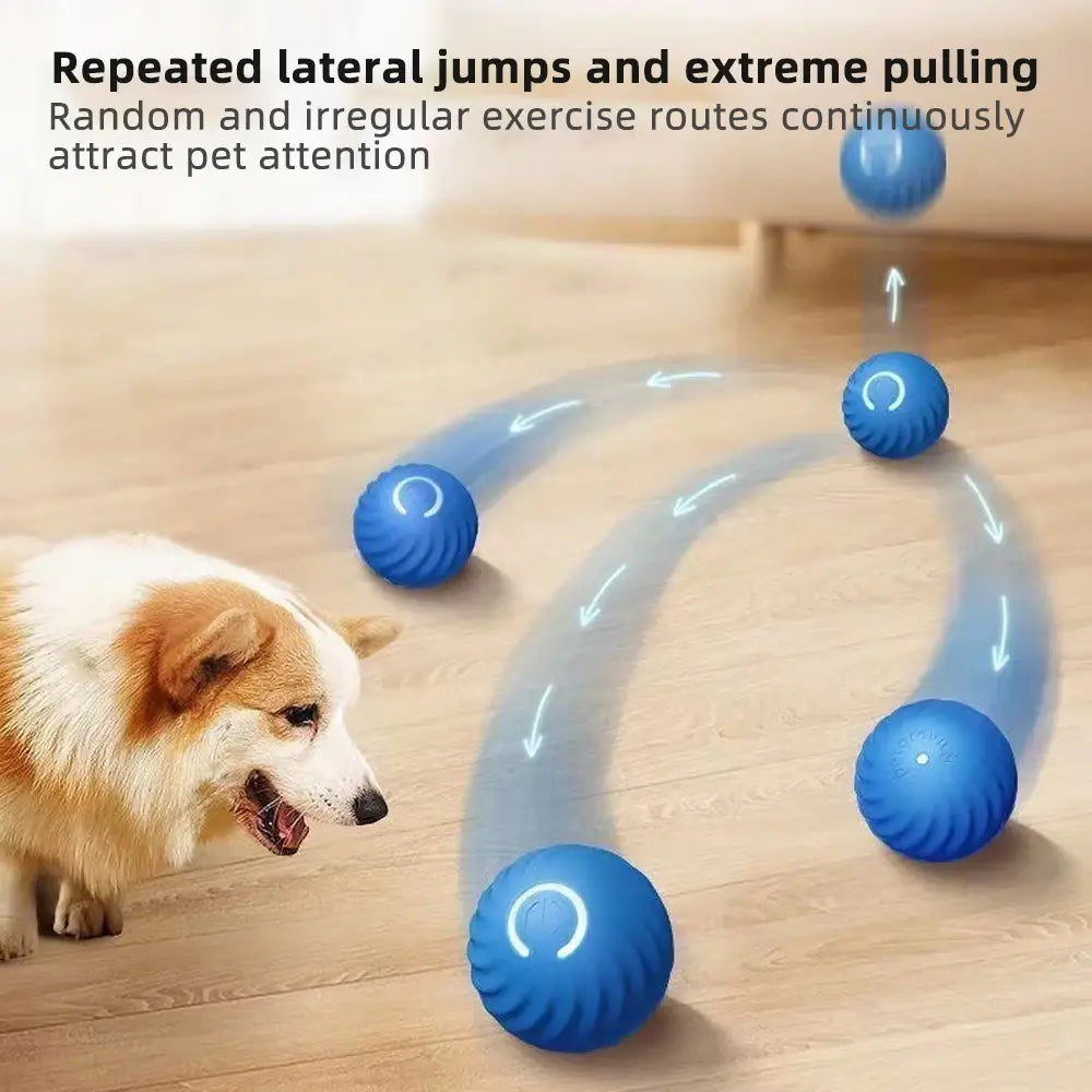 Interactive Moving Ball Dog Toy