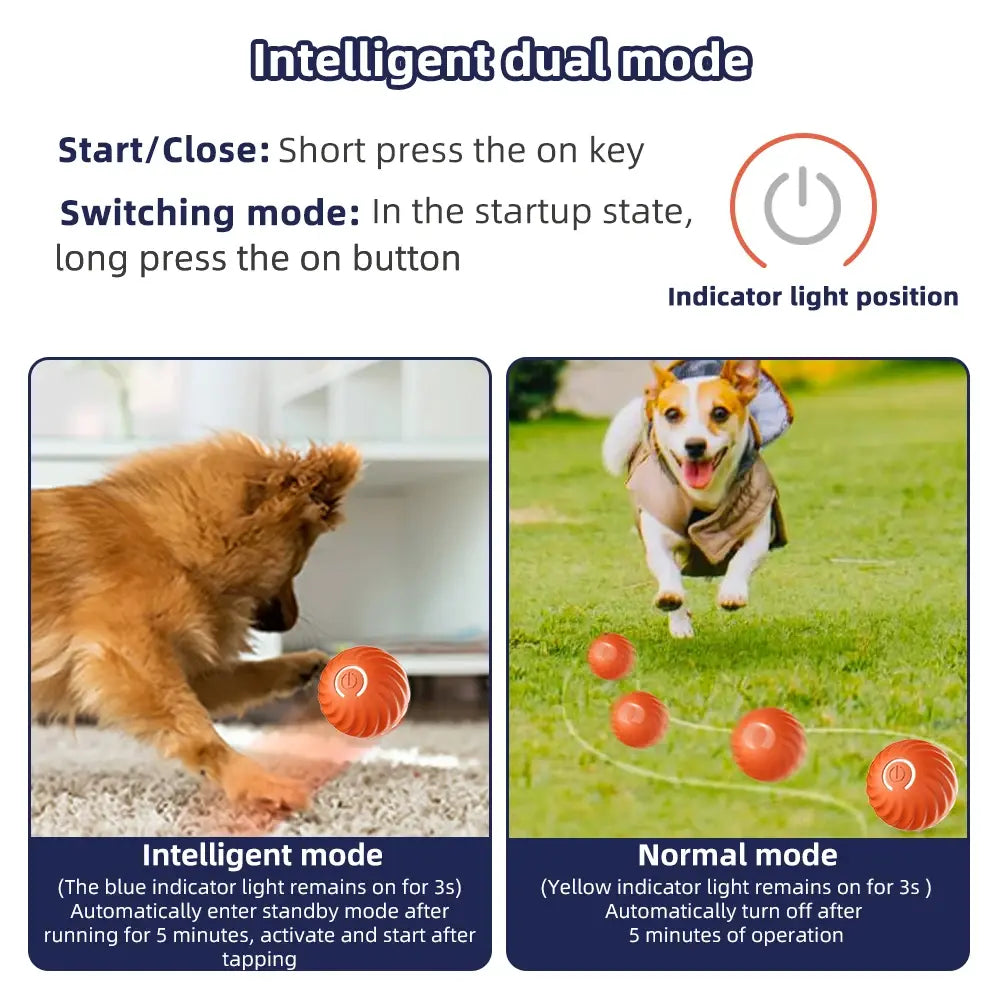 Interactive Moving Ball Dog Toy