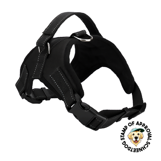 Dog Harness with Adjustable Collar