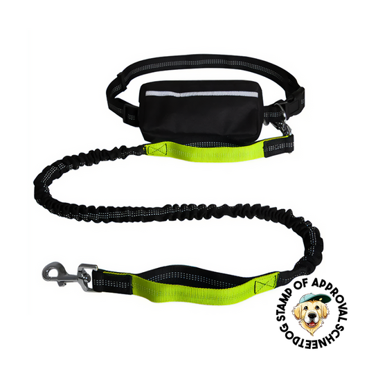 Reflecto Hands-Free Stretchy Lead