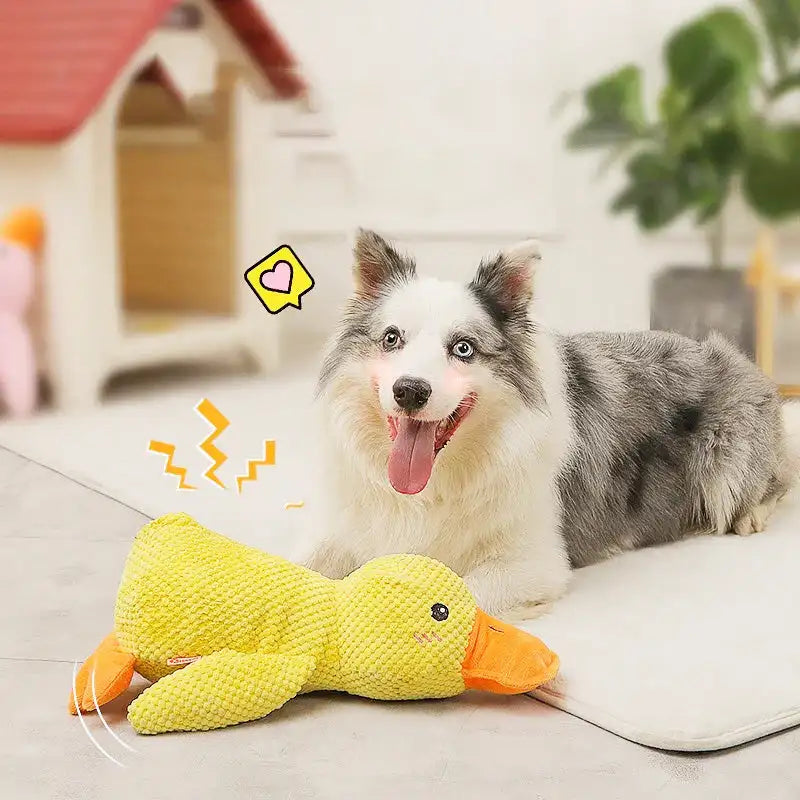 Ducky Dog Toy with Quack Sound