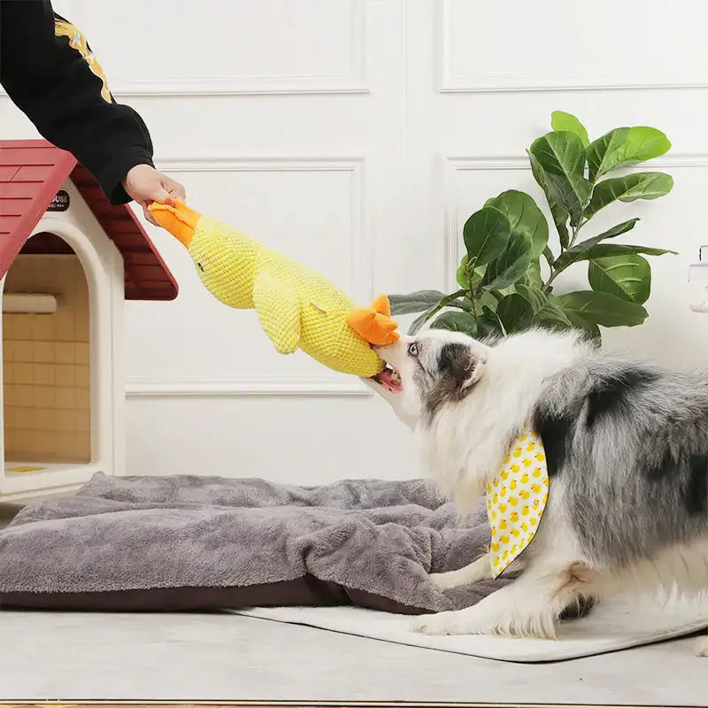 Ducky Dog Toy with Quack Sound