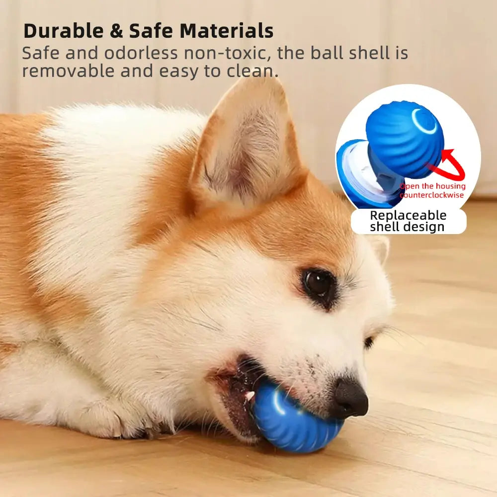 Interactive Moving Ball Dog Toy