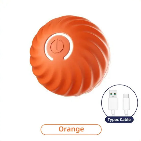 Interactive Moving Ball Dog Toy